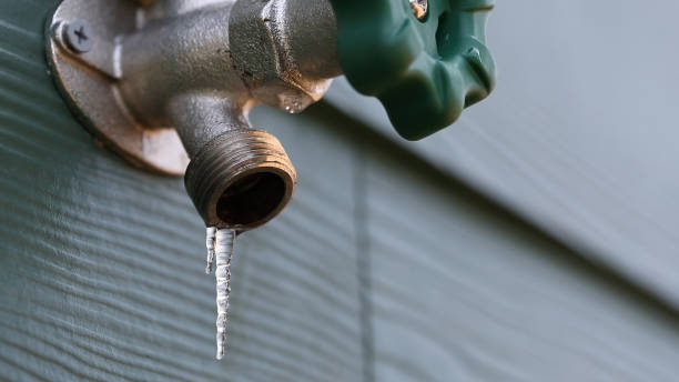 Best Sewer Line Repair  in Walls, MS